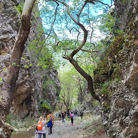 Hotel Astir Cosy Living 2*