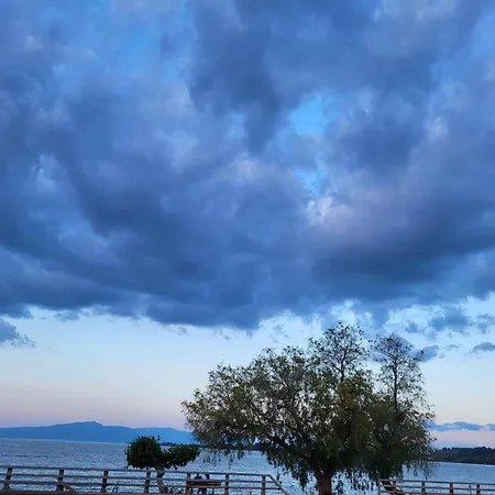 Hotel Astir Cosy Living Agios Konstantinos (Phthiotis)