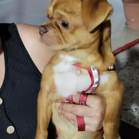 Astir Cosy Living Agios Konstantinos (Phthiotis)