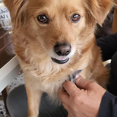 Hotel Astir Cosy Living 2*